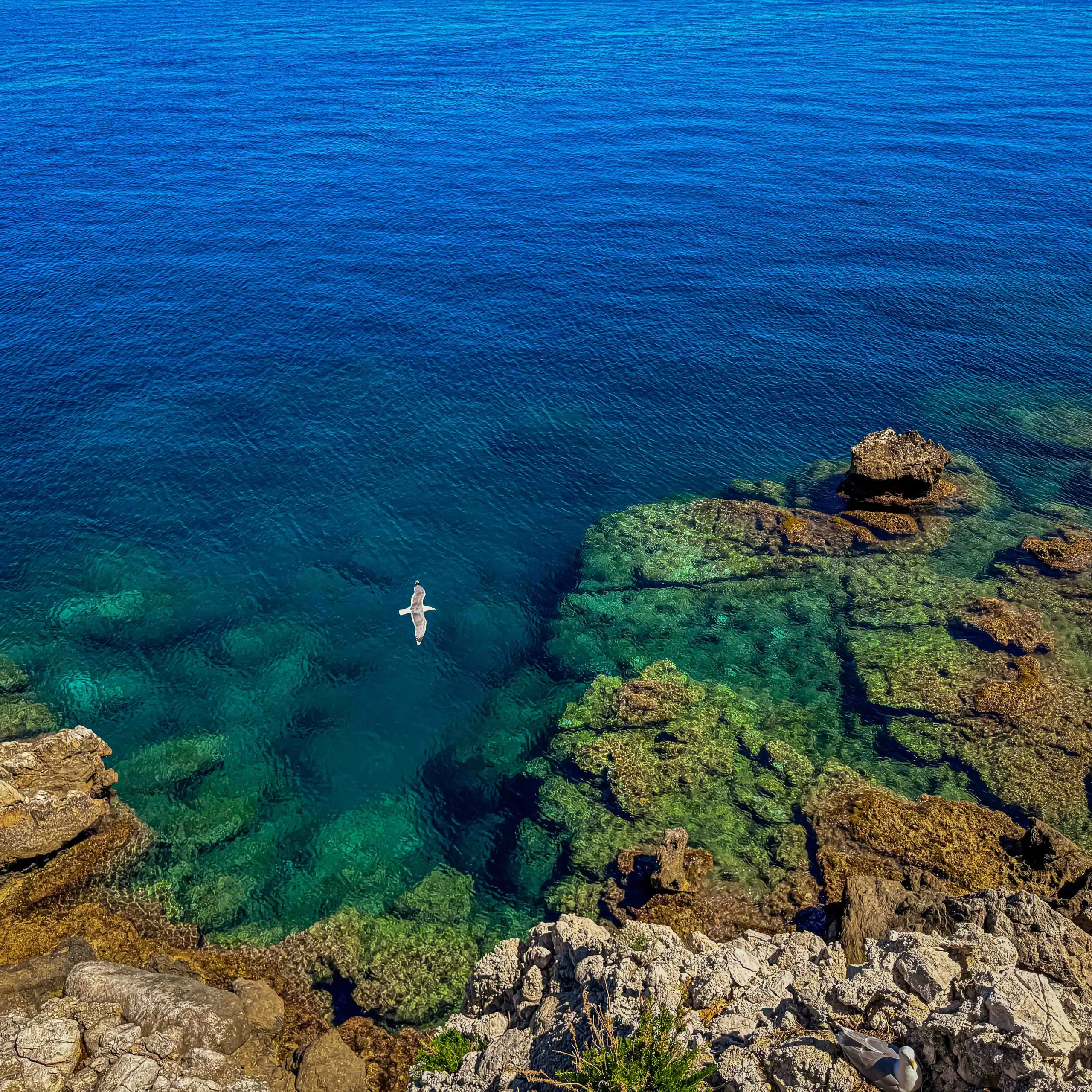 Baia dei Francesi