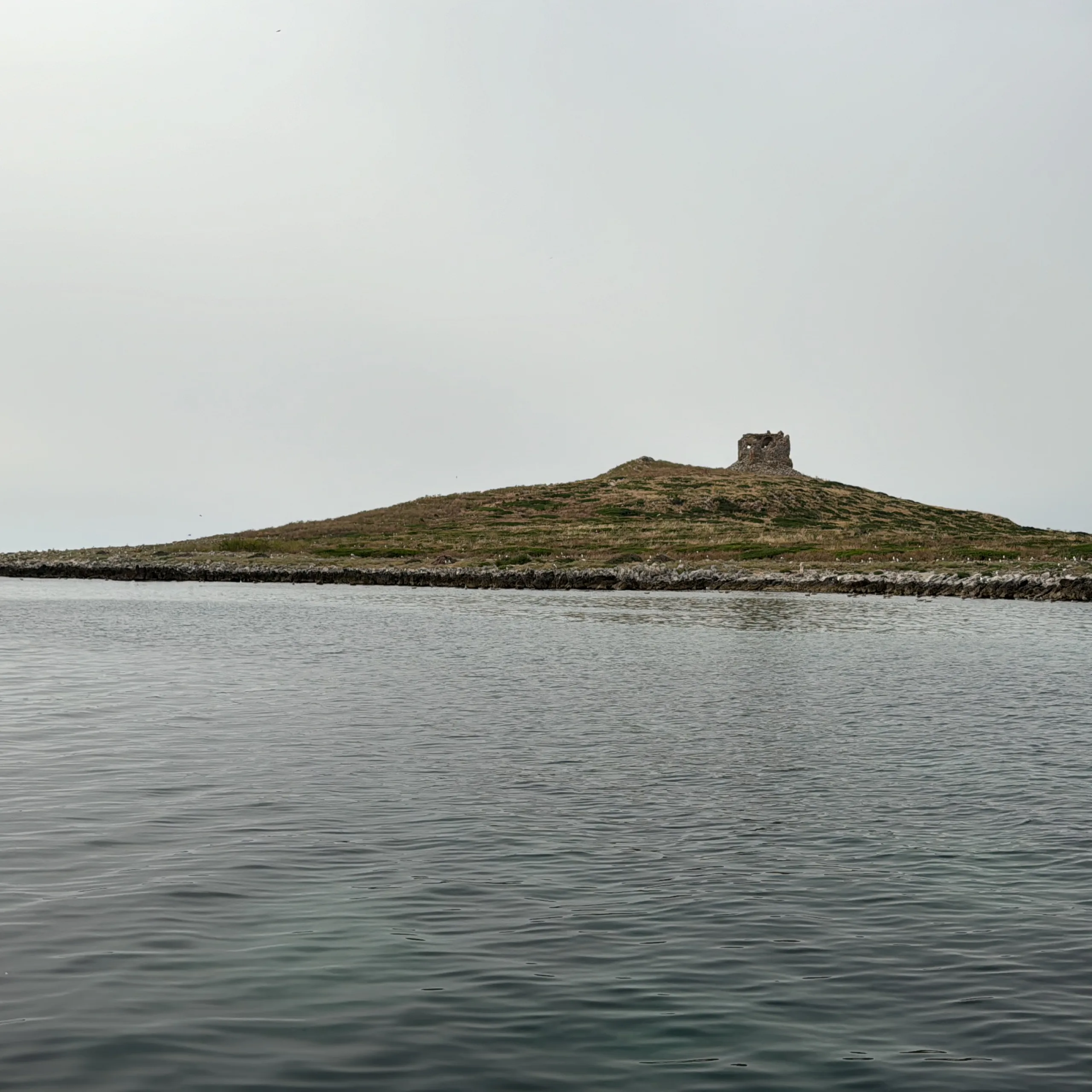 Isola delle femmine